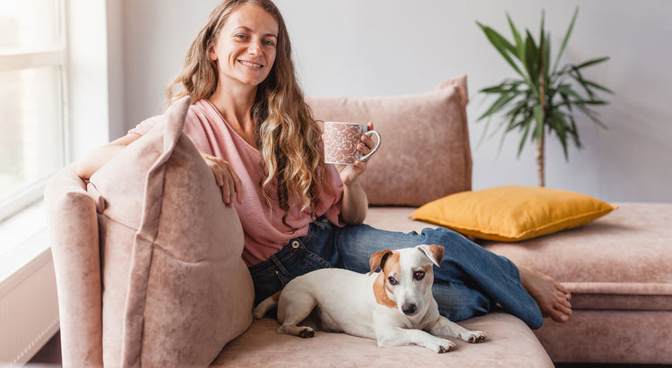 Zufriedene Frau mit ihren Jack Russel Terrier auf einer rosa Couch. 