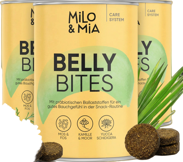 3 Dosen Belly Bites – das Dreierpack für drei Monate